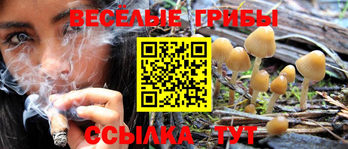 Галлюциногенные грибы Magic Shrooms  Вход с VPN  Томск 