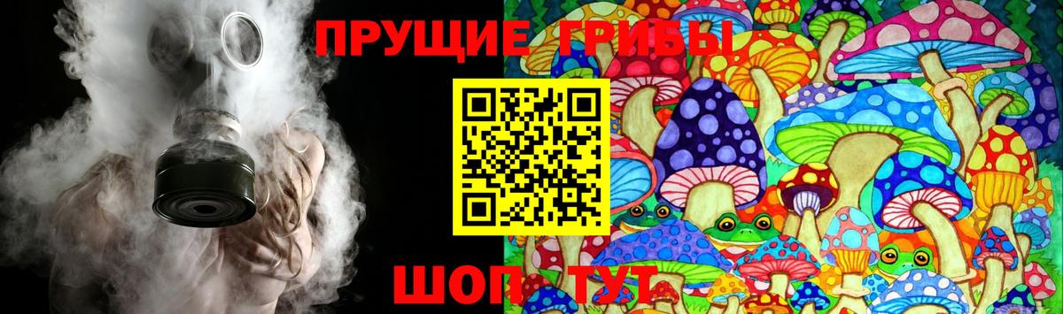 Псилоцибиновые грибы MAGIC MUSHROOMS Томск