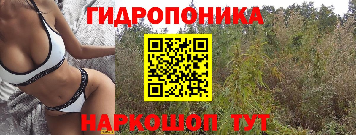 Бошки Шишки семена  Марихуана MAZAR  Томск  Конопля SATIVA & INDICA  Вход с VPN 